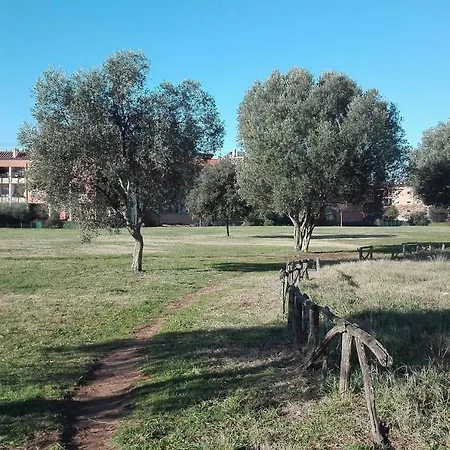Tra Citta E Mare Roma